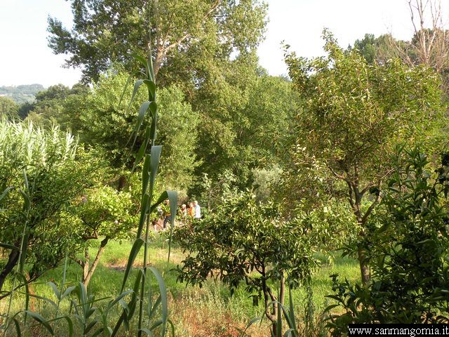 Foto 029